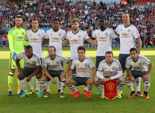 综合地了解 综合地了解